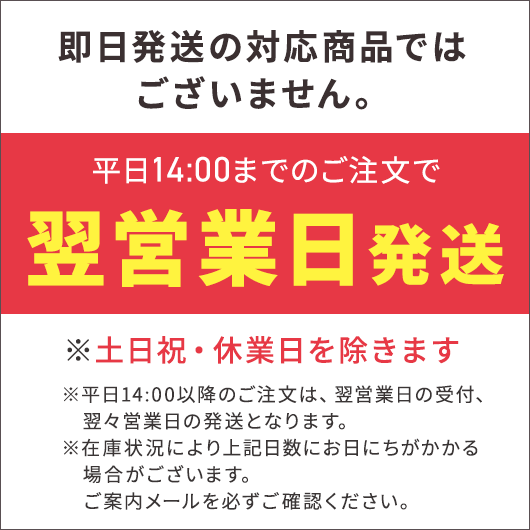 開運招福　キャリングスクエアケース画像11