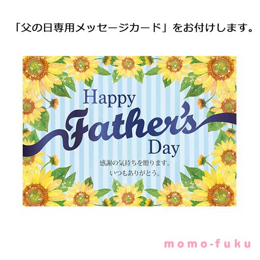 【父の日】カゴメ　潤い日和（９本）画像5