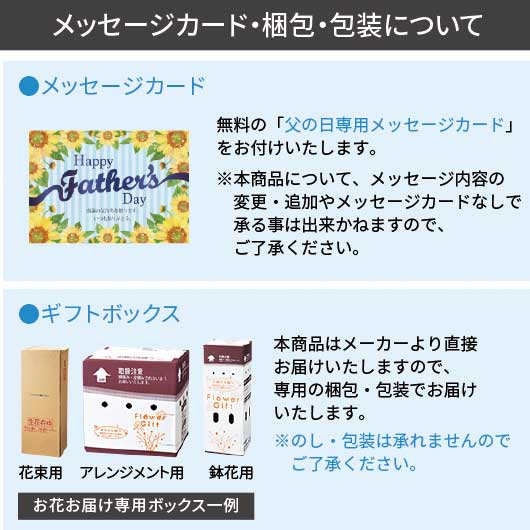 【父の日】カゴメ　潤い日和（９本）画像6