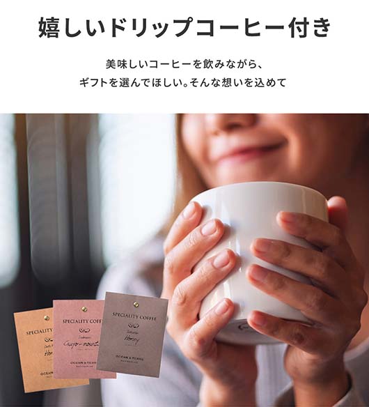 【包装】カタログギフト OCEAN&TERRE LIFE（オーシャンテールライフ） CHAIR【3000円コース】画像5