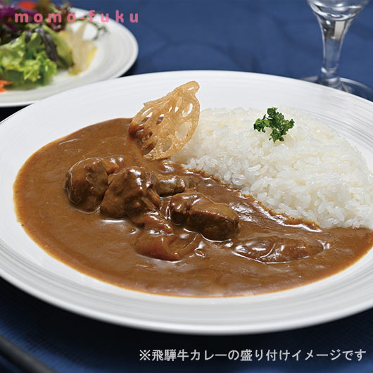 キッチン飛騨　レトルトカレー 詰合せ画像2