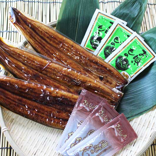  浜名湖　うなぎ蒲焼き