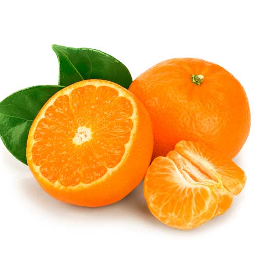 静岡　青島みかん　5Kg画像2