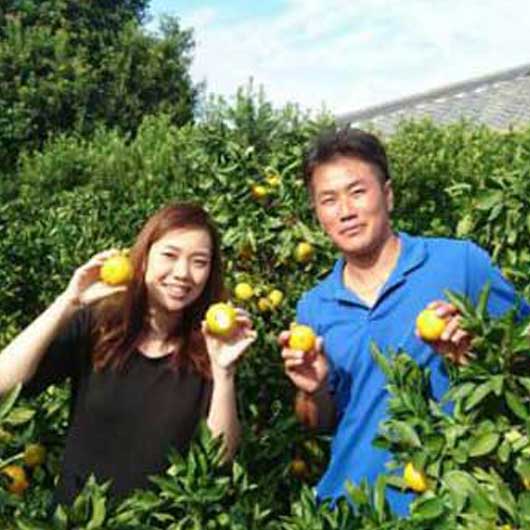 静岡　青島みかん　5Kg画像3