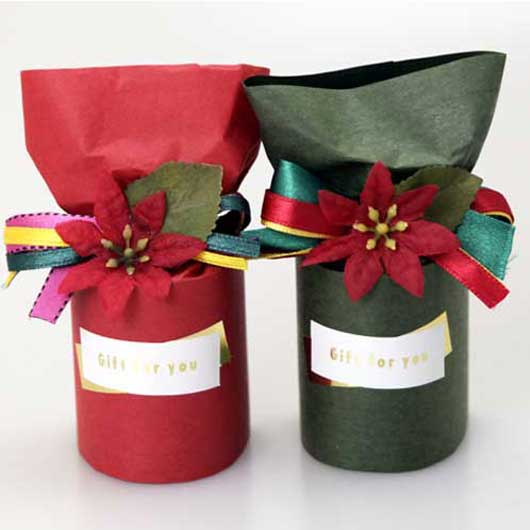 ポインセチアバス画像2