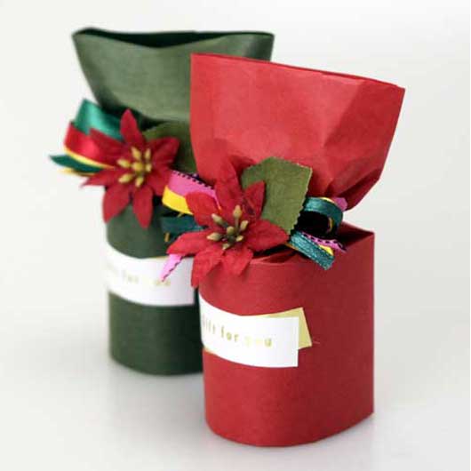 ポインセチアバス画像3