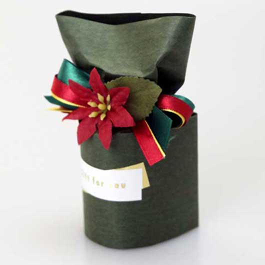 ポインセチアバス画像5