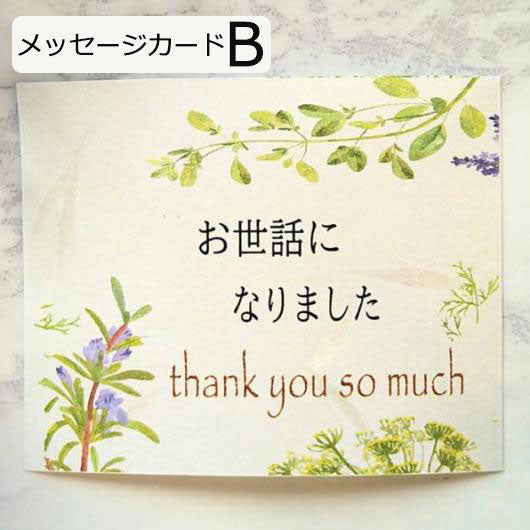 メッセージｄeBOXショコラ画像7