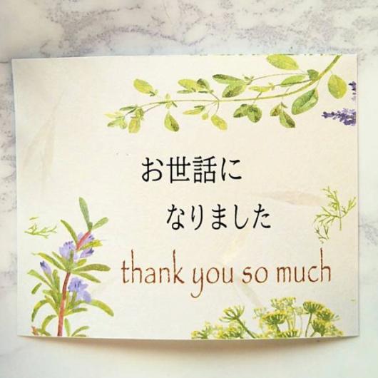 メッセージｄeBOXショコラ画像7