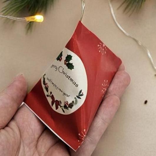 クリスマスキラテトラ画像2