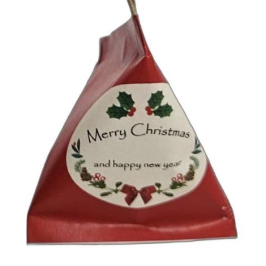 クリスマスキラテトラ画像4