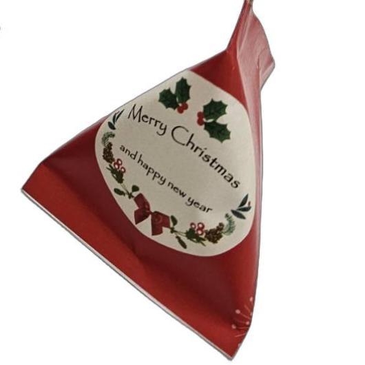 クリスマスキラテトラ画像5