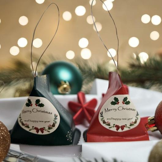 クリスマスキラテトラ画像6