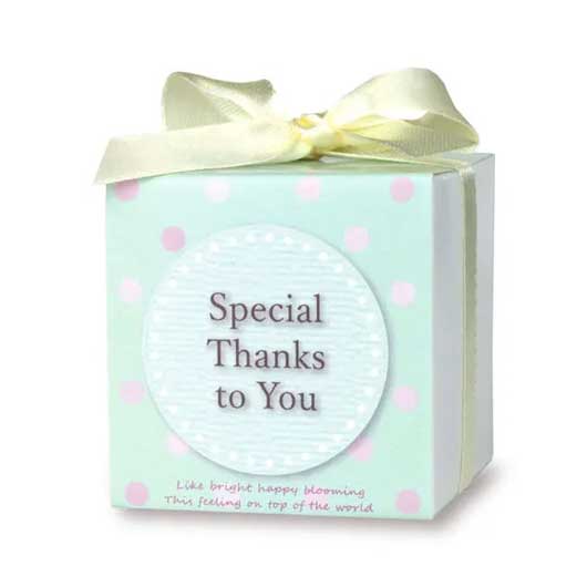 【ボードBOX付き】CCキューティーキューブ４０個入画像8