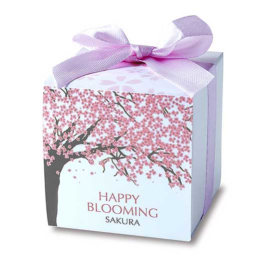 【ボードBOX付き】桜さくらCC４０個入画像4