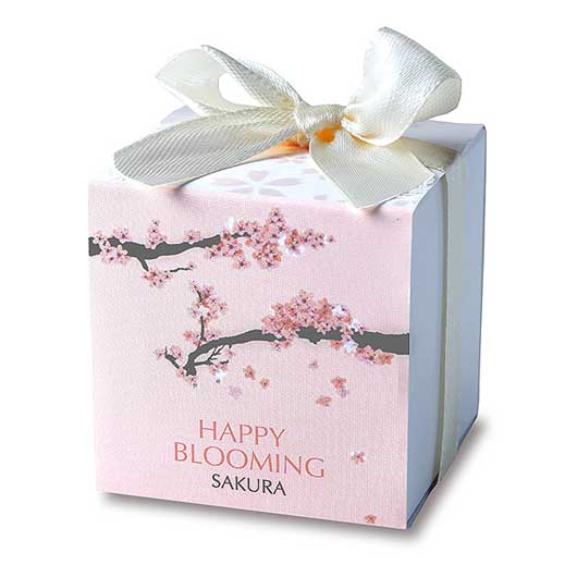 【ボードBOX付き】桜さくらCC４０個入画像6