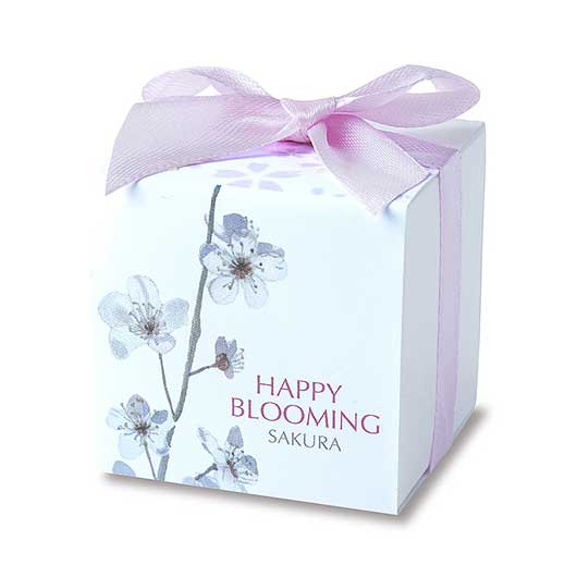 【ボードBOX付き】桜さくらCC４０個入画像7