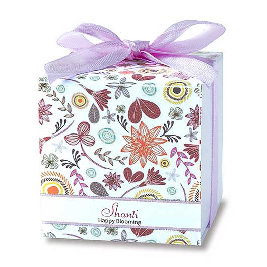 【ボードBOX付き】CCシャンティ４０個入画像4