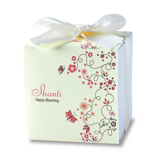 【ボードBOX付き】CCシャンティ４０個入画像5