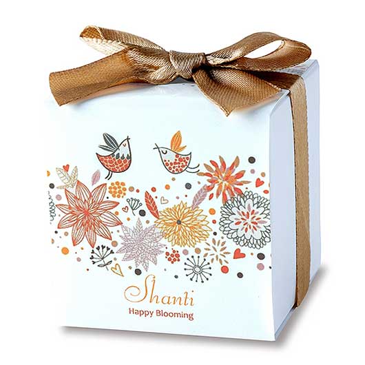 【ボードBOX付き】CCシャンティ４０個入画像6