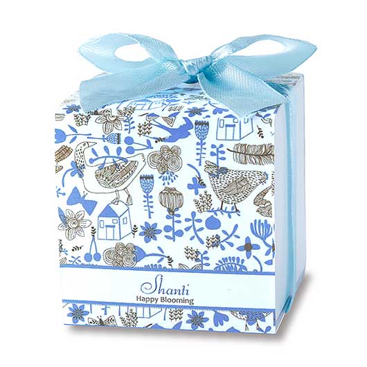 【ボードBOX付き】CCシャンティ４０個入画像7