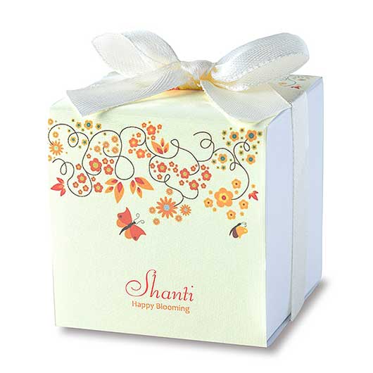 【ボードBOX付き】CCシャンティ４０個入画像8