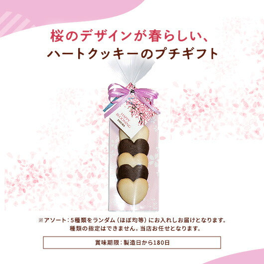 HBH サクラ HH画像4