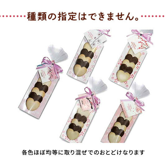 HBH サクラ HH画像5
