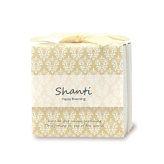 【プチギフト 200円】 SHANTI 紅茶＆クッキーセット
かわいい パステルカラー Shanti 紅茶 箱入り 5種 おしゃれ 退職 ご挨拶 感謝画像6