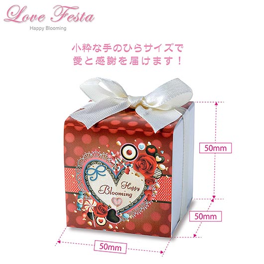 ラブフェスタ　BOX画像6