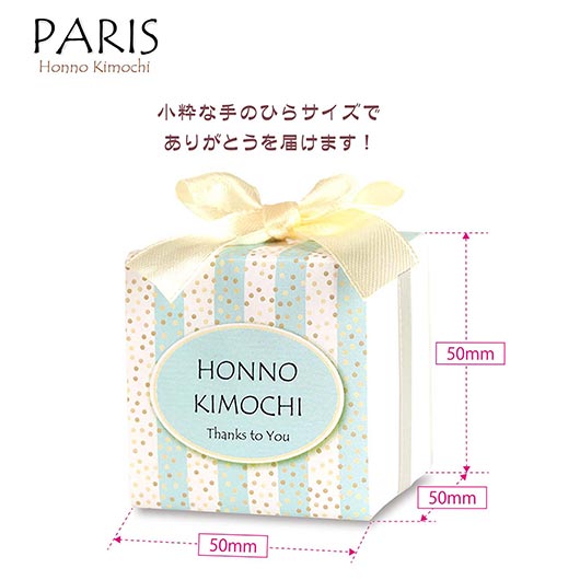 PARIS　BOX画像6