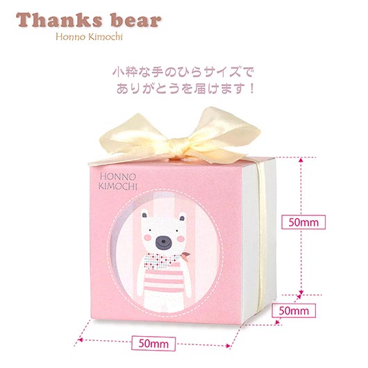 CC　サンクスベア画像5