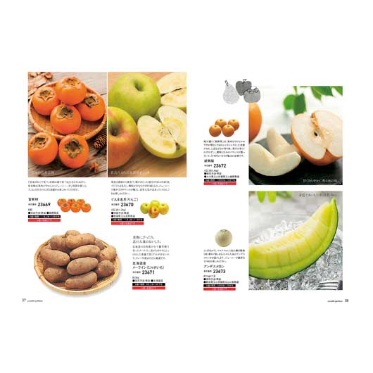 【1個単位】やさしいごちそう　黄色いレモン（５２項／約１００品掲載）画像3