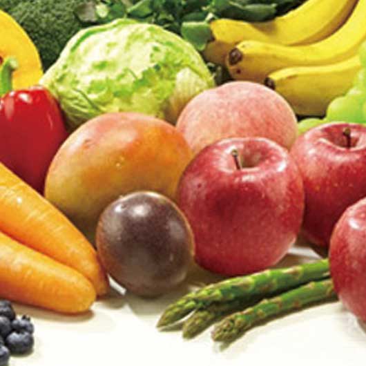 カゴメ すこやかファミリーギフト画像3