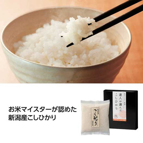  【60個単位】達人が選んだ新潟産こしひかり３００ｇ