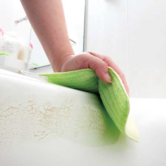 バスピカピカ画像3