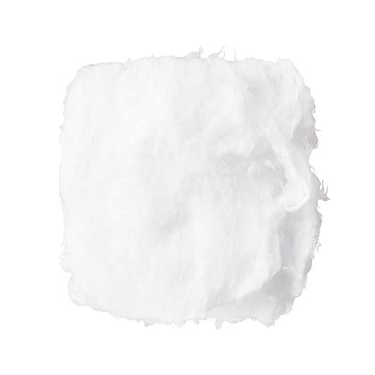 油吸いトル！モフモフちゃん画像2