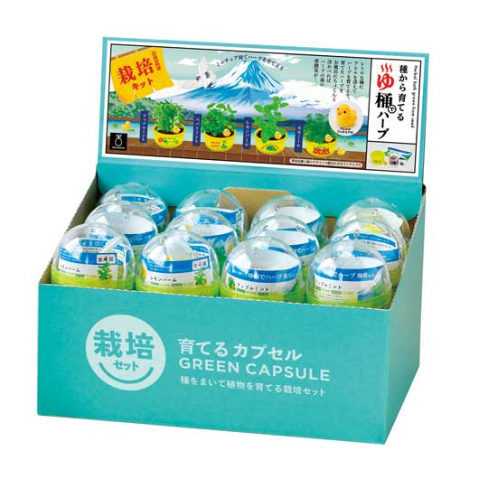 育てるカプセル　ゆ桶でハーブ栽培画像6
