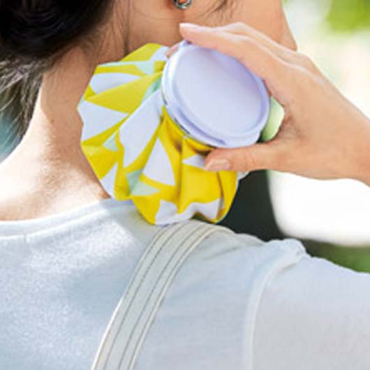  伊砂文様　氷のう