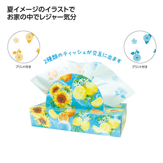  【60個単位】夏柄ＢＯＸティッシュ１２０Ｗ　ビタミンサマー