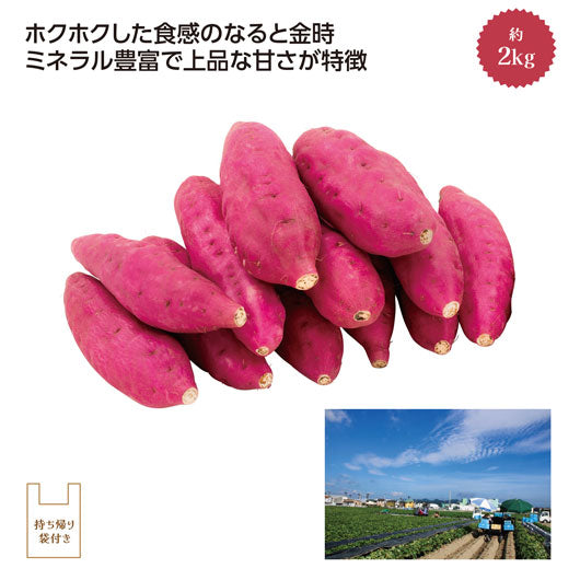  【3個単位】鳴門里浦産「吉岡さんちのなると金時」Ｍ２ｋｇ
