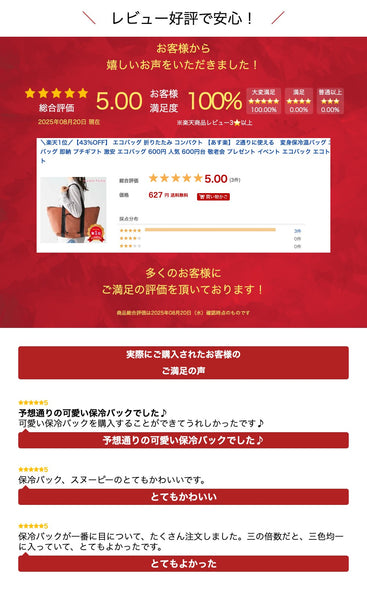 ２通りに使える　変身保冷温バッグ画像12