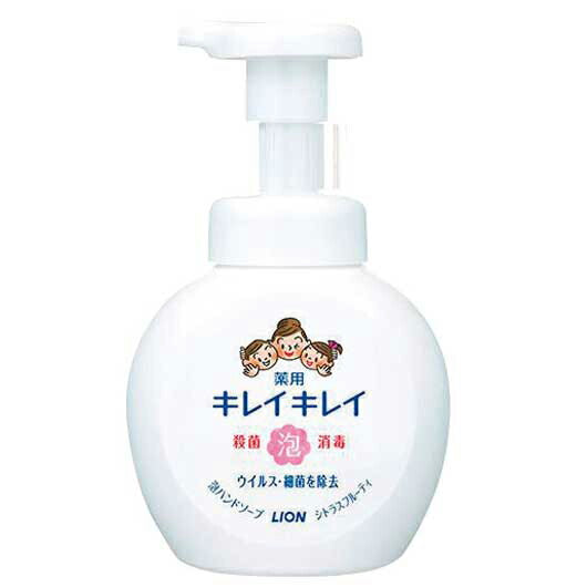 【40個単位】キレイキレイ　薬用泡ハンドソープ２５０ｍｌ　箱なし画像2