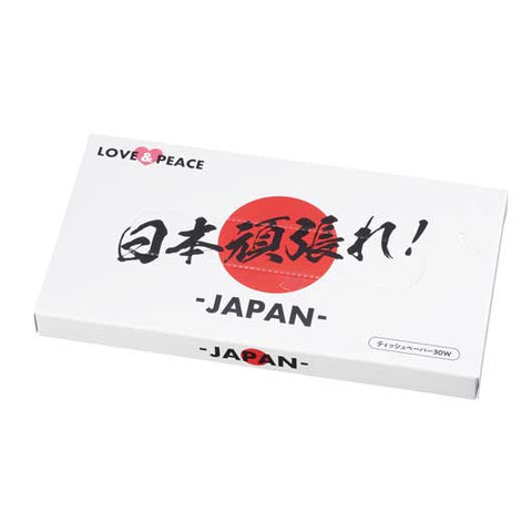  【300個単位】日本頑張れ！ＢＯＸティッシュ３０Ｗ