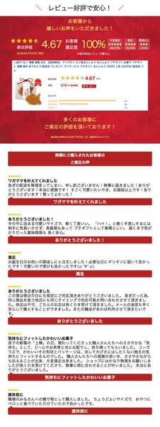 【プチギフト 250円】 アリガタイ たい型まんじゅう
ありがとう 面白い 和菓子 人気 1位 かわいい 縁起物 敬老会 お礼 お菓子画像5