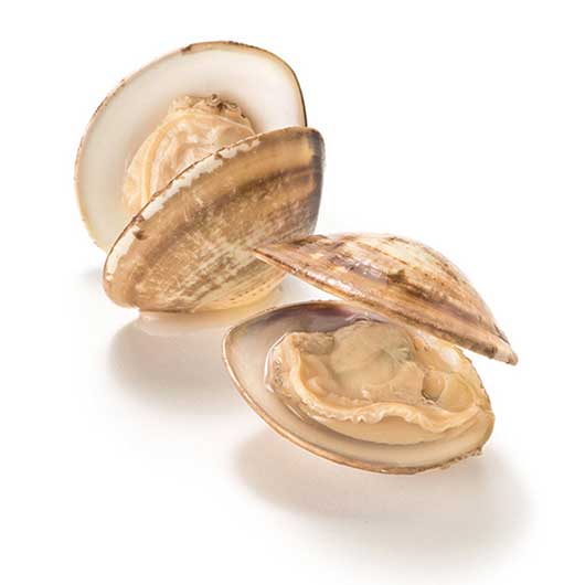 ＴＳＵＴＳＵＭＩ　炊き込みご飯の素セットＡ画像8