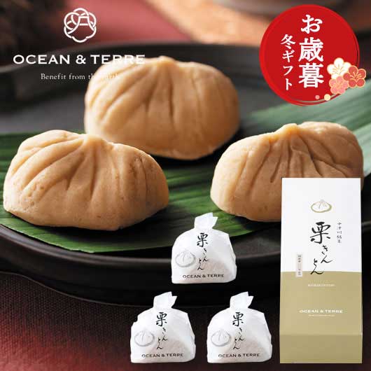  【お歳暮】中津川銘菓　栗きんとん３個