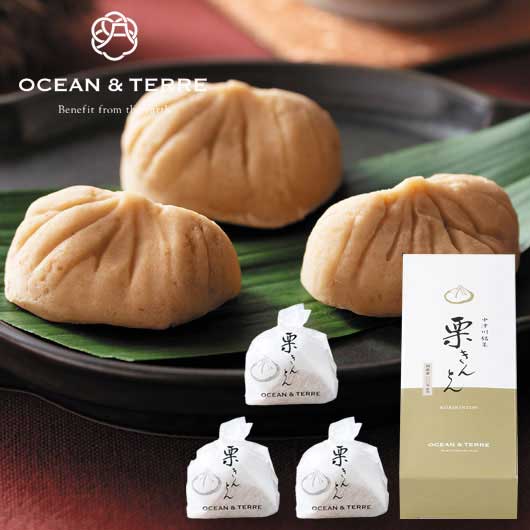 【お歳暮】中津川銘菓　栗きんとん３個画像2