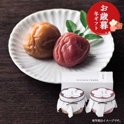  【お歳暮】Ｐｒｅｍｉｕｍ　紀州南高梅セットＡ