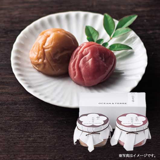 【お中元】Ｐｒｅｍｉｕｍ　紀州南高梅セットＡ画像2